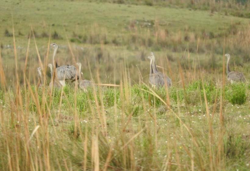 Albergue Paso Centurion Tours | Melo | Cerro Largo | Uruguay 19
