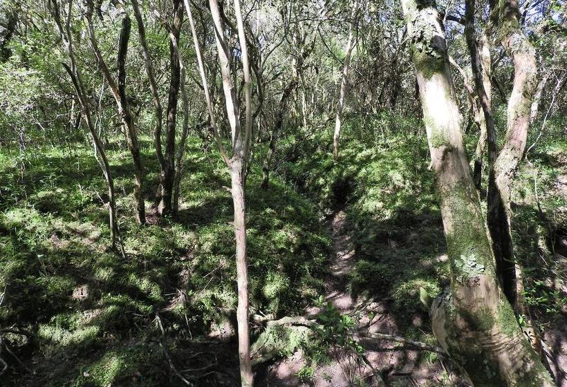 Albergue Paso Centurion Tours | Melo | Cerro Largo | Uruguay 2