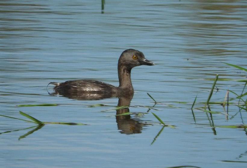 Albergue Paso Centurion Tours | Melo | Cerro Largo | Uruguay 20
