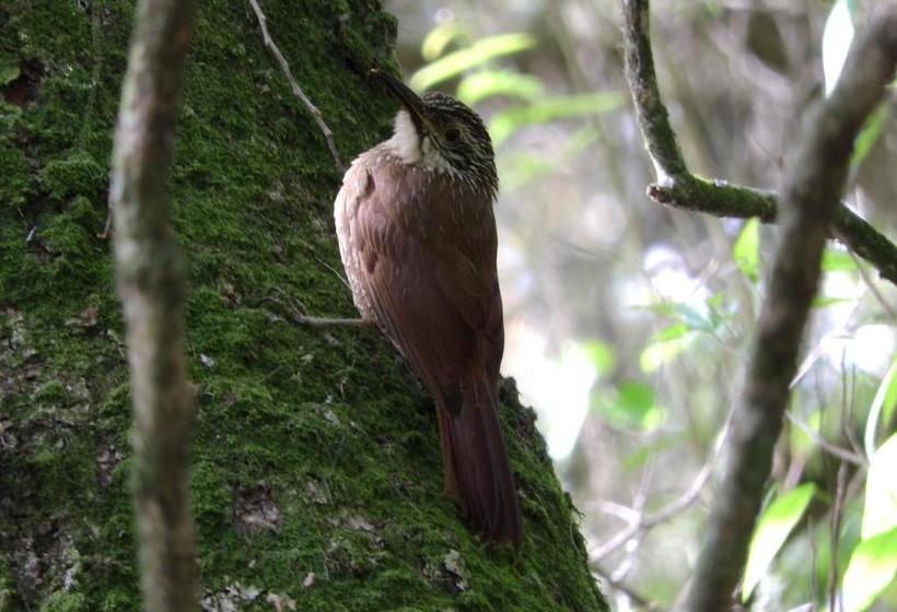 Albergue Paso Centurion Tours | Melo | Cerro Largo | Uruguay 3