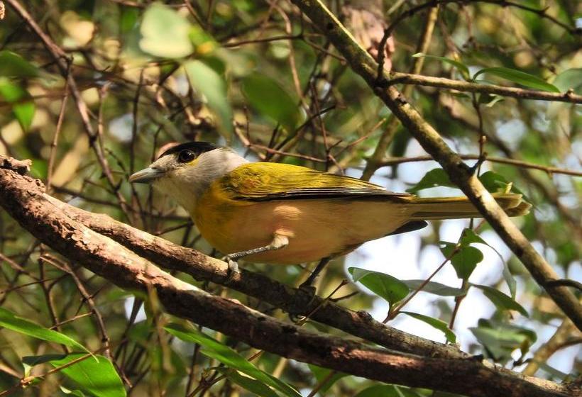 Albergue Paso Centurion Tours | Melo | Cerro Largo | Uruguay 4
