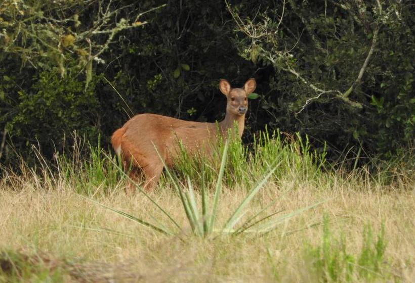 Albergue Paso Centurion Tours | Melo | Cerro Largo | Uruguay 5