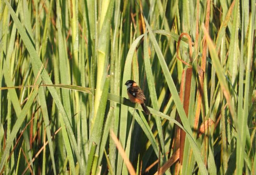 Albergue Paso Centurion Tours | Melo | Cerro Largo | Uruguay 6