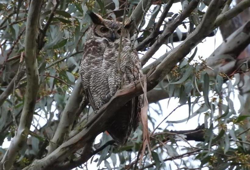 Albergue Paso Centurion Tours | Melo | Cerro Largo | Uruguay 8