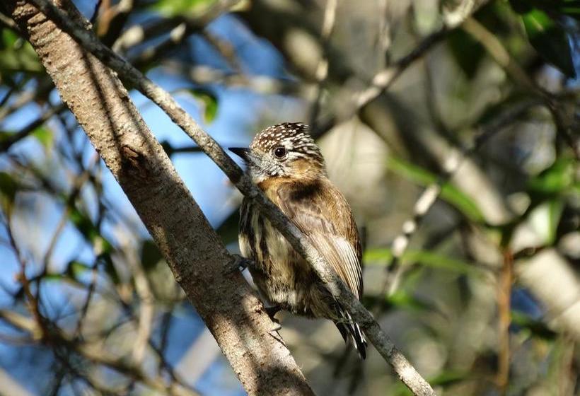 Albergue Paso Centurion Tours | Melo | Cerro Largo | Uruguay 9
