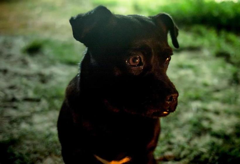 Wanderlust Mini Hostel | Punta del Diablo | Rocha | Uruguay 8