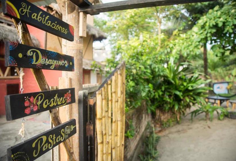 Bed and Breakfast La Caleta | Mompiche | Esmeraldas | Ecuador 14
