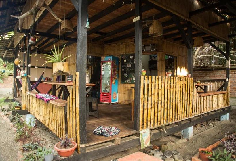 Bed and Breakfast La Caleta | Mompiche | Esmeraldas | Ecuador 5