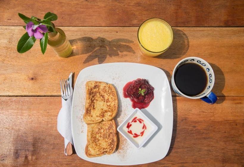 Bed and Breakfast La Caleta | Mompiche | Esmeraldas | Ecuador 6