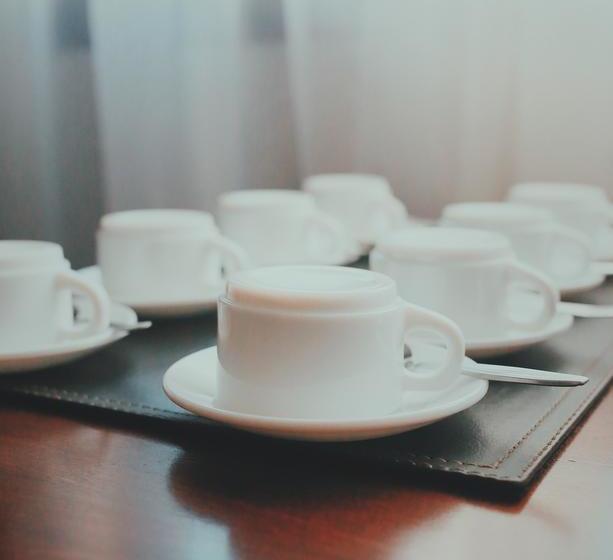 Hotel Boutique Santa Teresita | San Fernando | O'Higgins | Chile 16