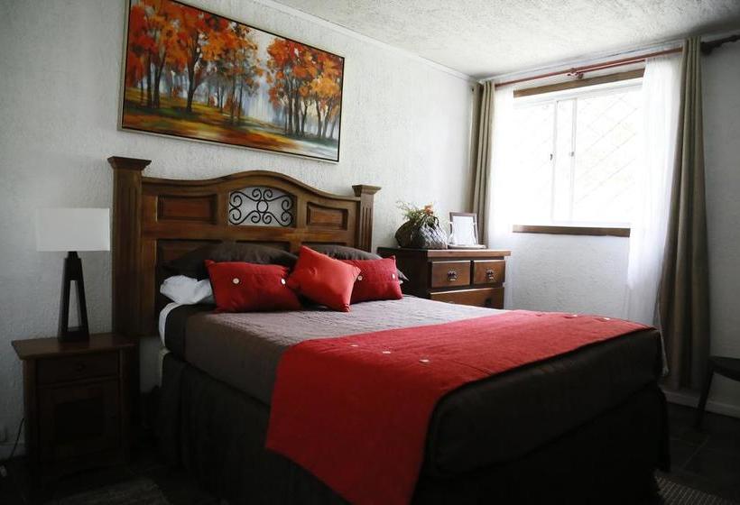 Hotel Boutique Santa Teresita | San Fernando | O'Higgins | Chile 6