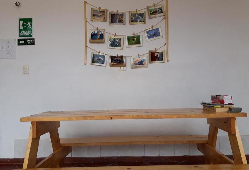 Coffee Break Hostel | Popayán | Cauca | Colombia 5