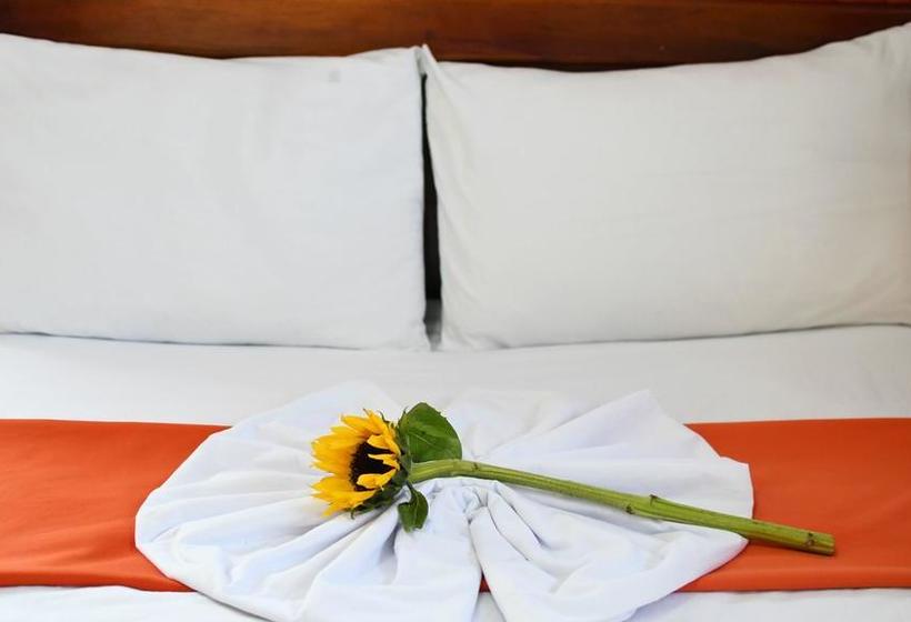 Hotel El Cisne 1 | Esmeraldas | Esmeraldas | Ecuador 9