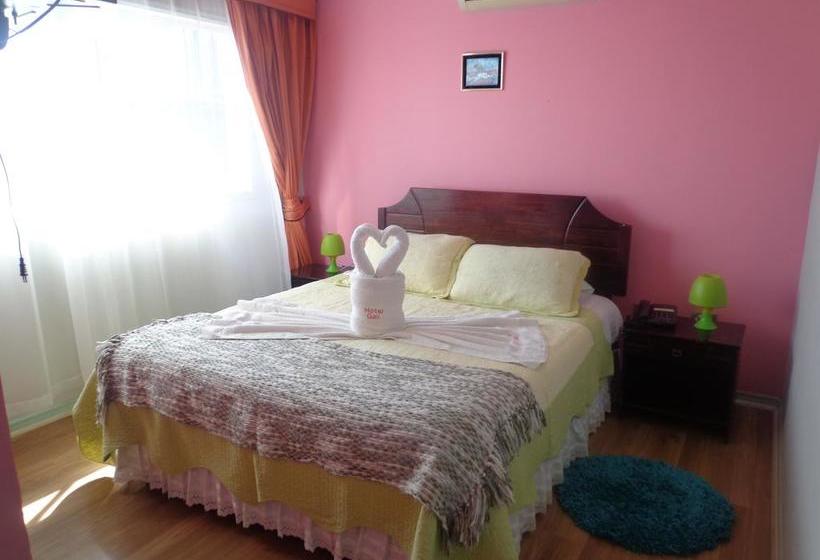 Hotel Gali | Taltal | Antofagasta | Chile 14