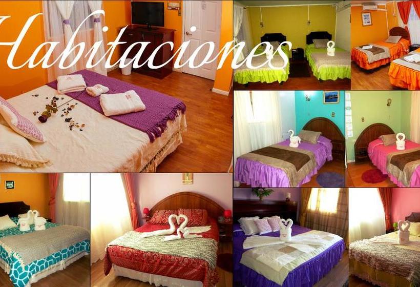 Hotel Gali | Taltal | Antofagasta | Chile 17