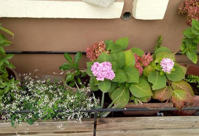 Hotel Kennedy | Esmeraldas | Esmeraldas | Ecuador 13