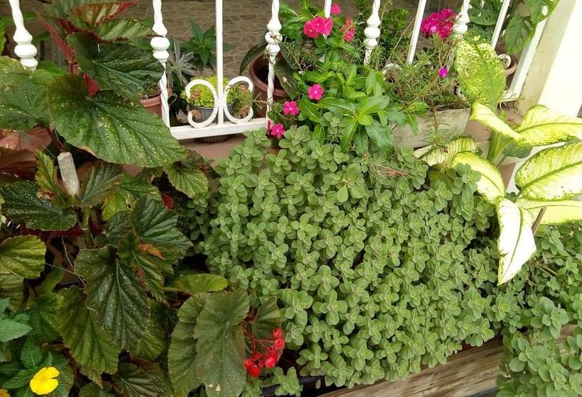 Hotel Kennedy | Esmeraldas | Esmeraldas | Ecuador 16