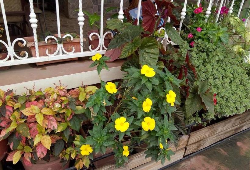 Hotel Kennedy | Esmeraldas | Esmeraldas | Ecuador 17