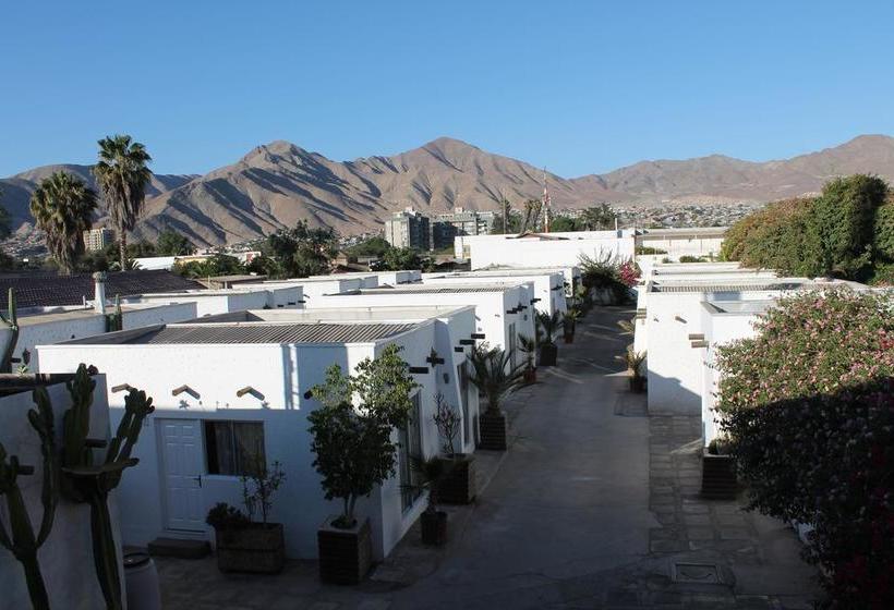 Hotel Oasis De Atacama | Copiapó | Atacama | Chile