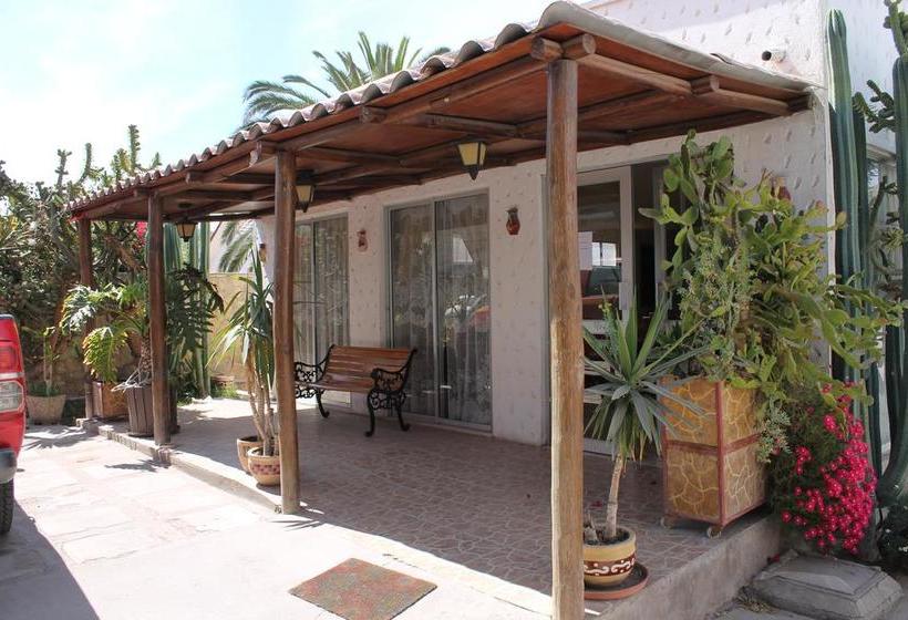 Hotel Oasis De Atacama | Copiapó | Atacama | Chile 1