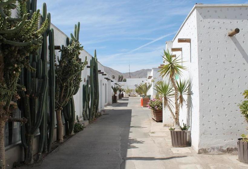 Hotel Oasis De Atacama | Copiapó | Atacama | Chile 11