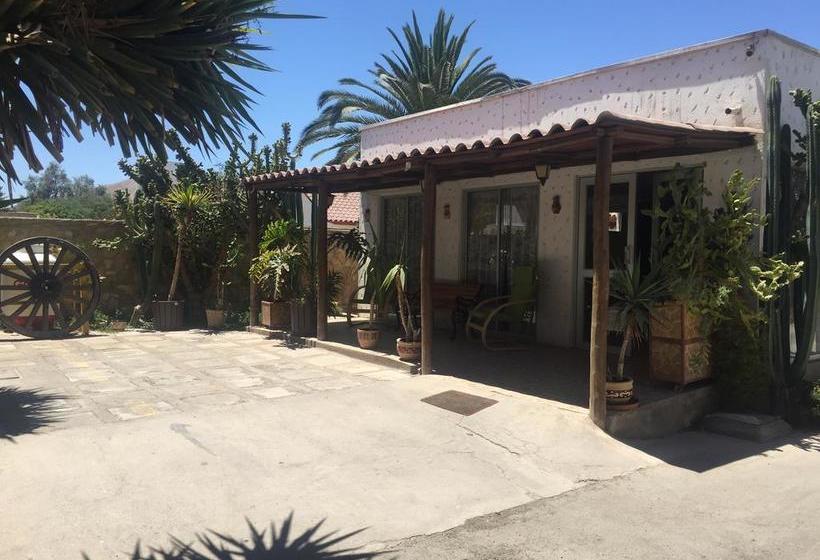 Hotel Oasis De Atacama | Copiapó | Atacama | Chile 16