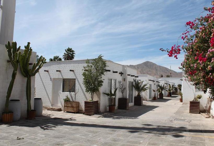 Hotel Oasis De Atacama | Copiapó | Atacama | Chile 4