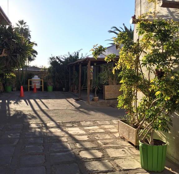 Hotel Oasis De Atacama | Copiapó | Atacama | Chile 6