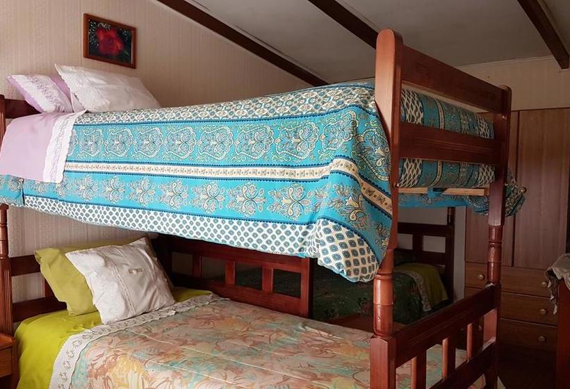 Bed and Breakfast Hospedaje Doña Nora | Valdivia | Los Lagos | Chile 14