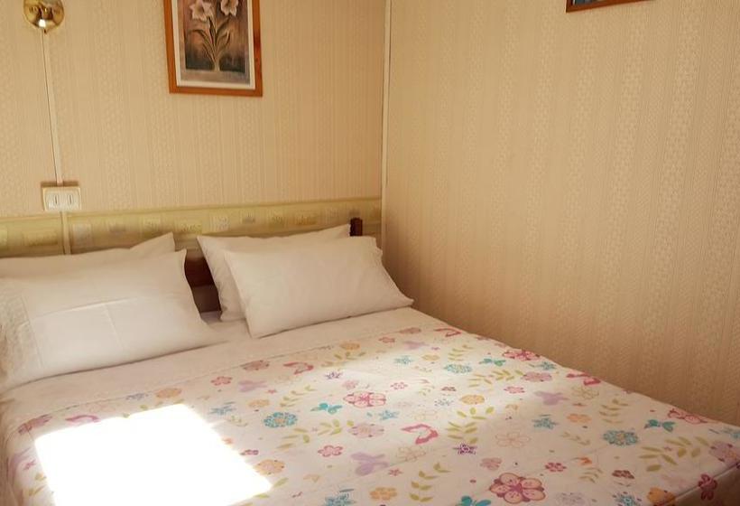 Bed and Breakfast Hospedaje Doña Nora | Valdivia | Los Lagos | Chile 16