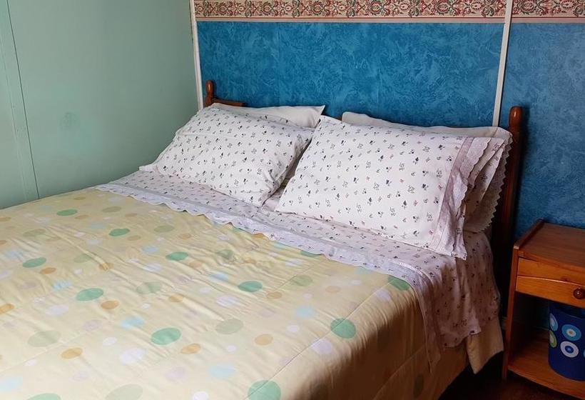 Bed and Breakfast Hospedaje Doña Nora | Valdivia | Los Lagos | Chile 17