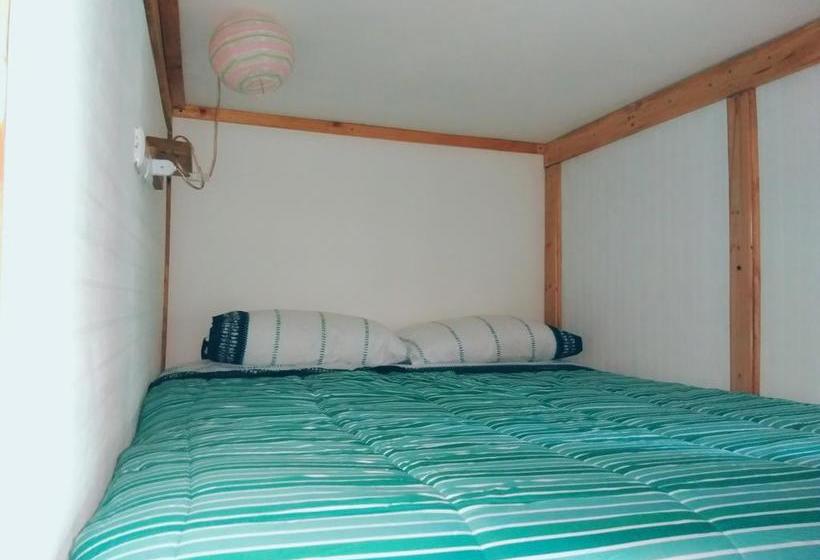 Kapai Hostel | Valdivia | Los Lagos | Chile 10