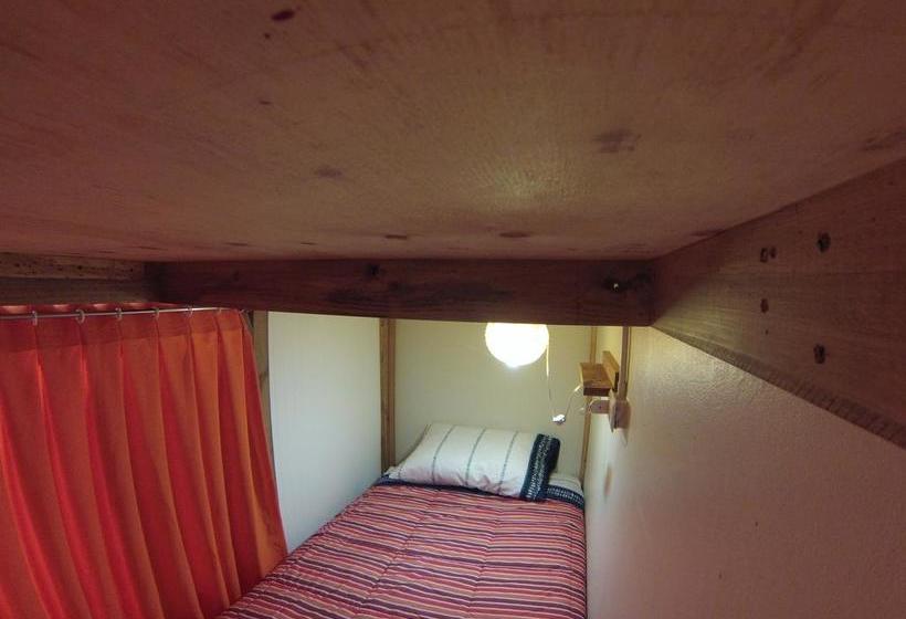 Kapai Hostel | Valdivia | Los Lagos | Chile 11