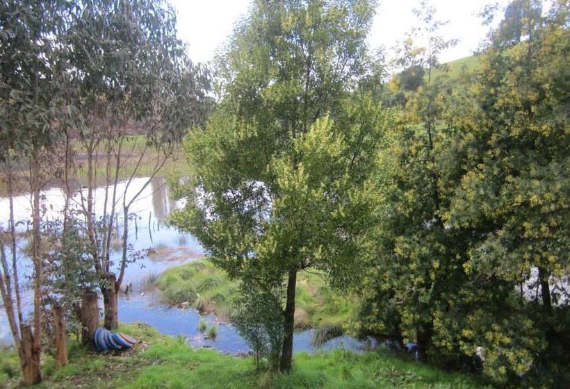 Albergue Hospedaje Martita | Castro | Los Lagos | Chile 1