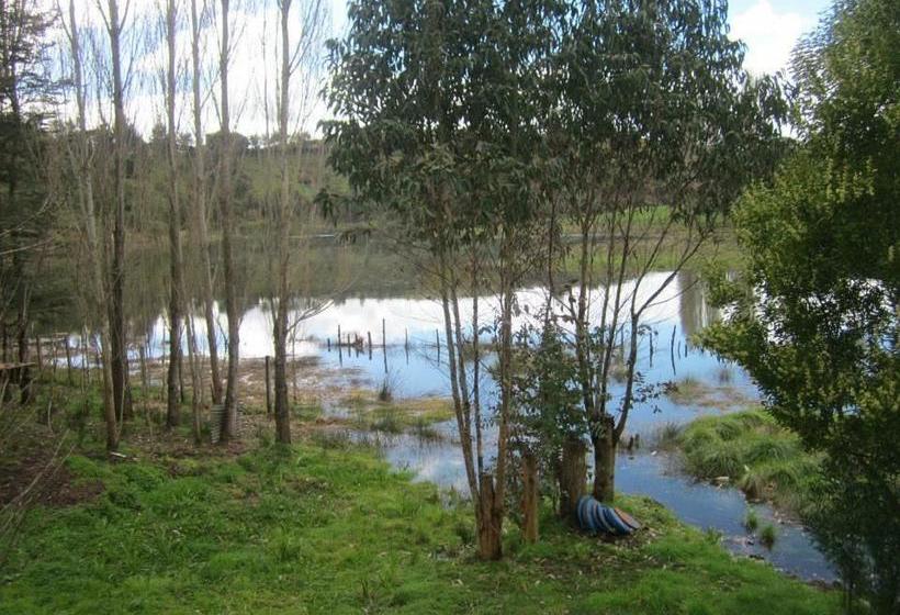 Albergue Hospedaje Martita | Castro | Los Lagos | Chile 2