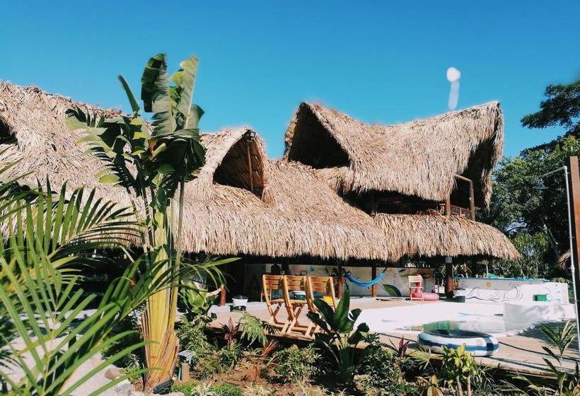 El Zoo Hostel & Pool Palomino