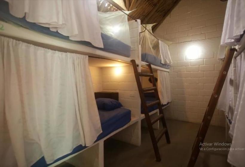 El Zoo Hostel & Pool | Palomino | La Guajira | Colombia 15