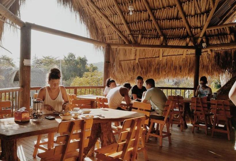El Zoo Hostel & Pool | Palomino | La Guajira | Colombia 17