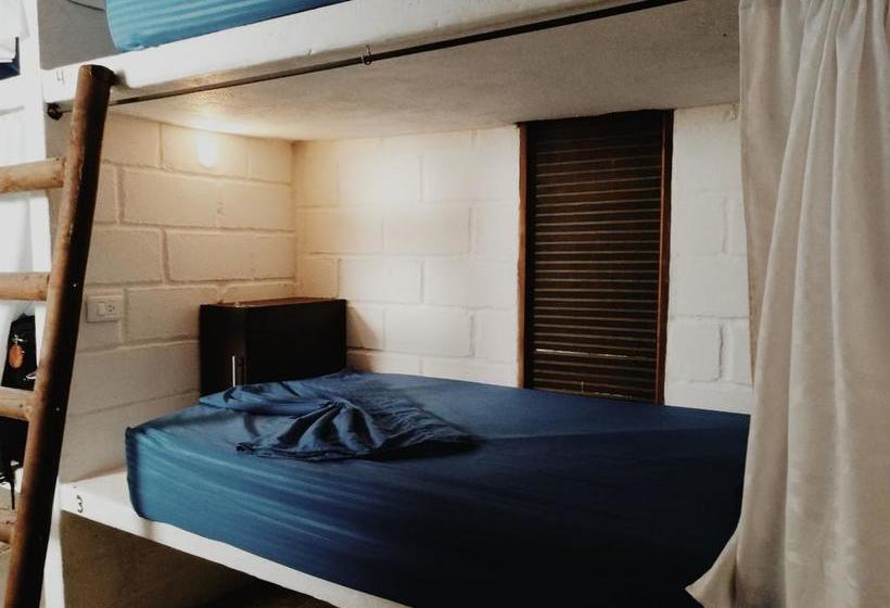 El Zoo Hostel & Pool | Palomino | La Guajira | Colombia 19