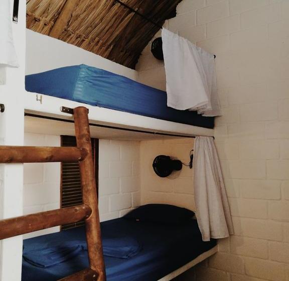 El Zoo Hostel & Pool | Palomino | La Guajira | Colombia 4