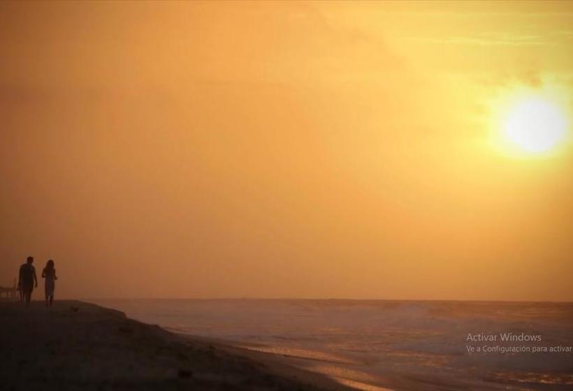 El Zoo Hostel & Pool | Palomino | La Guajira | Colombia 7