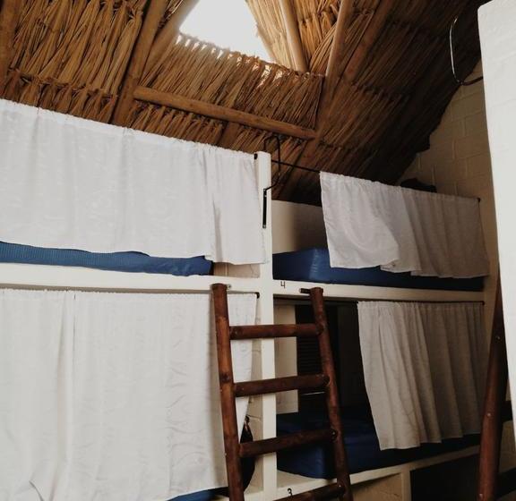 El Zoo Hostel & Pool | Palomino | La Guajira | Colombia 8