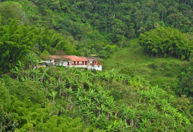 Hotel Paraíso Verde Manizales | Manizales | Caldas | Colombia 4