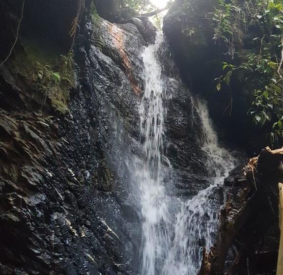 Hotel Paraíso Verde Manizales | Manizales | Caldas | Colombia 5