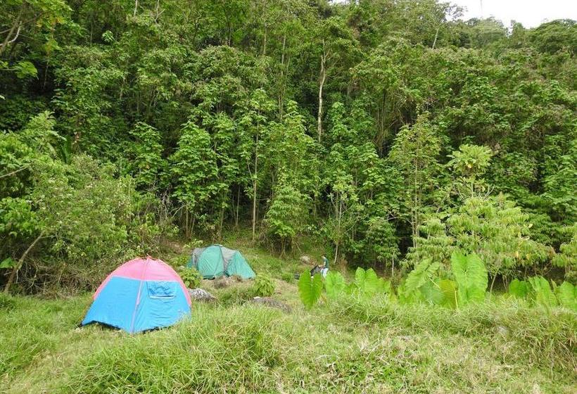 Hotel Paraíso Verde Manizales | Manizales | Caldas | Colombia 9