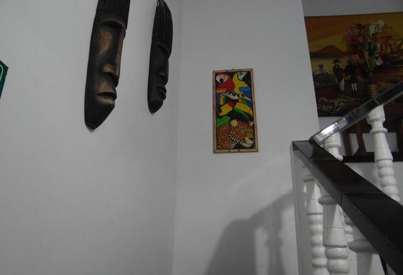 Aparta Hotel Estadio | Leticia | Amazonas | Colombia 18