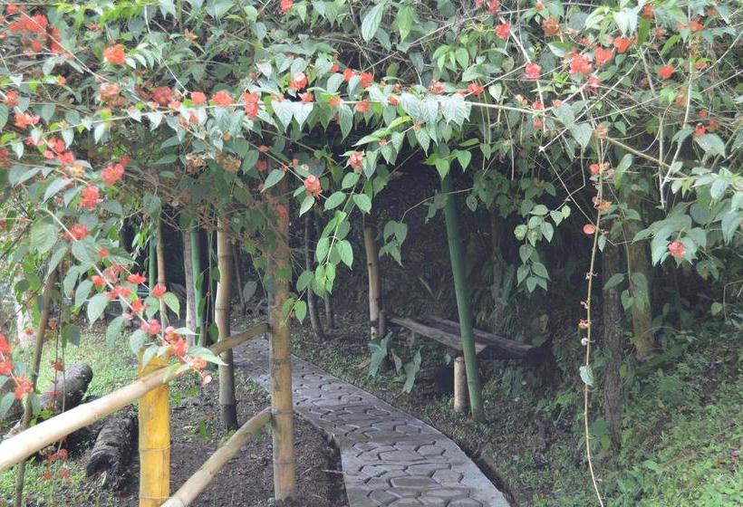 Hotel Villa Carolina | Santa Rosa de Cabal | Risaralda | Colombia 11