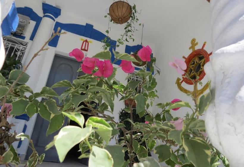 Hotel Kaloha | Santa Marta | Magdalena | Colombia 15