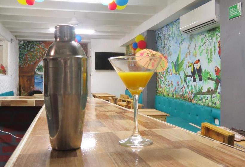 Hotel Kaloha | Santa Marta | Magdalena | Colombia 3