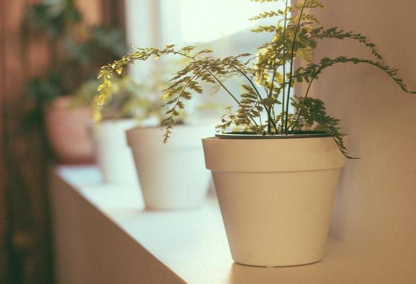 Hotel Mero Gaucho | Puerto Varas | Los Lagos | Chile 11